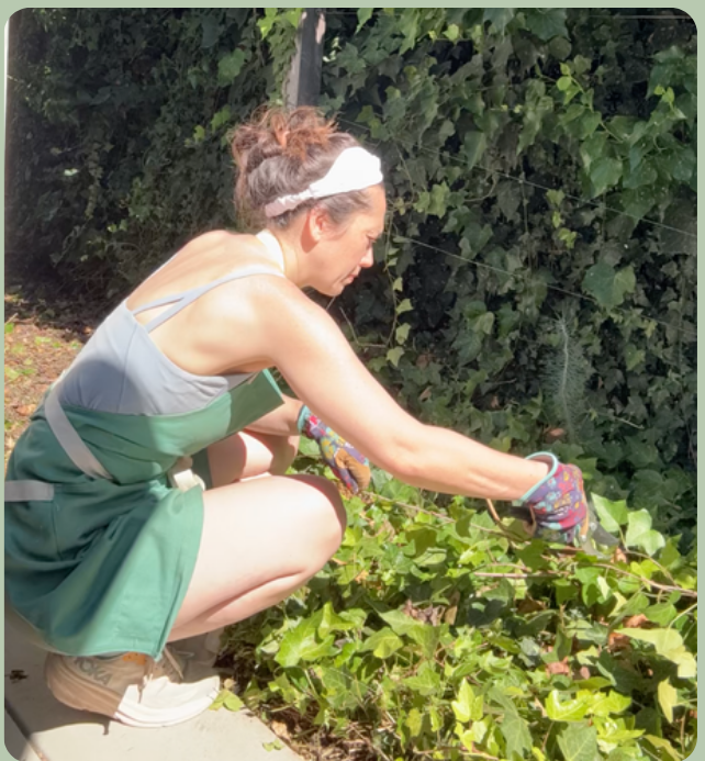 Picking berries in the garden